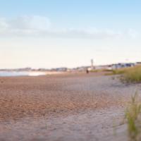 Image credit: Danielle MacInnes (https://unsplash.com/@dsmacinnes) Aspectfit, 200 × 200 px, 29kB